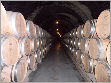 Bodega Protos (Peñafiel)