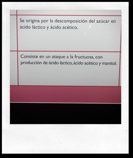 Museo del Vino